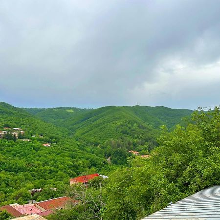 Hotel Vim In Sighnaghi Exterior photo